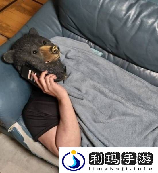 极乐软件园