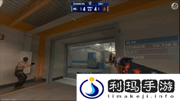 IEM卡托维兹