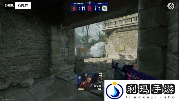 IEM卡托维兹