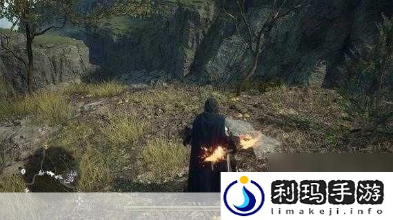 龙之信条2