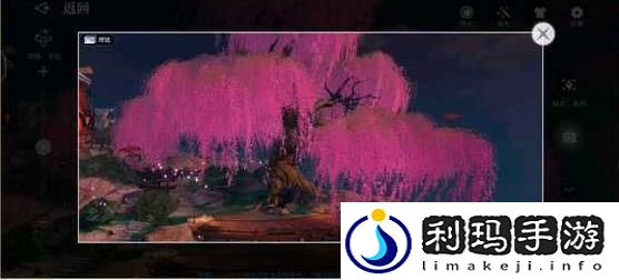天谕手游幼年约定任务怎么做