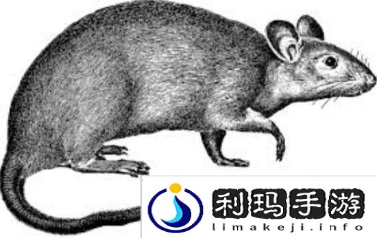极乐软件园