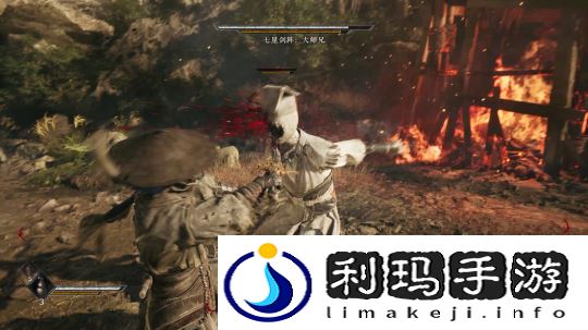 白蟒赤练处决1.png