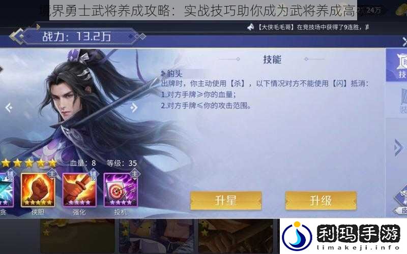 境界勇士武将养成攻略:实战技巧助你成为武将养成高手