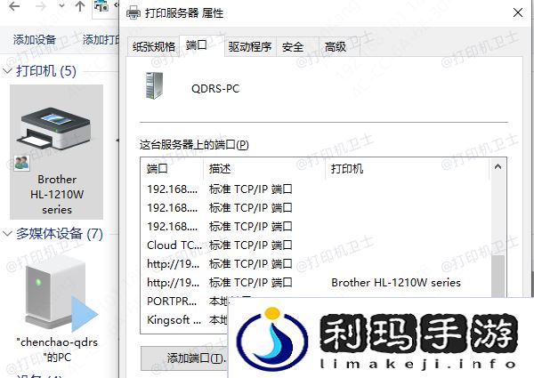 检查打印机IP地址
