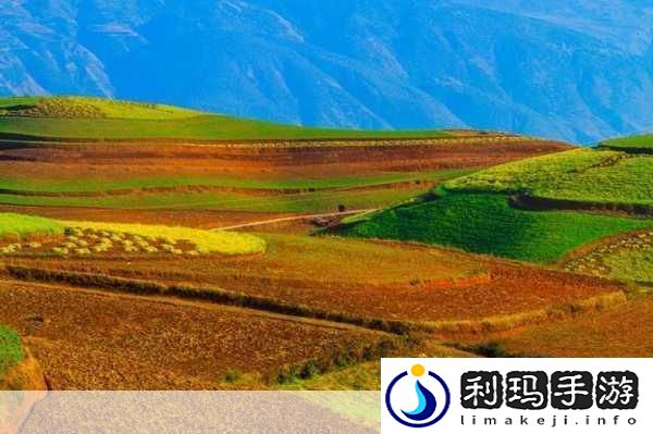 大地资源二在线观看免费高清支持离线缓存
