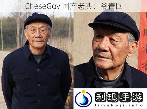 CheseGαy 国产老头:爷青回