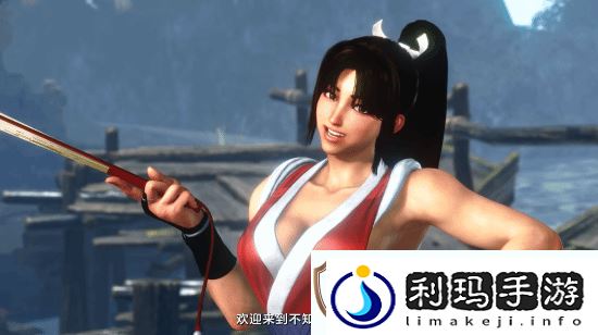 各版本女忍者