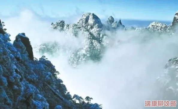 大地资源二3在线观看免费高清