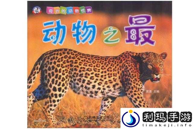 美国 Zoom 动物园:动物的奇妙世界