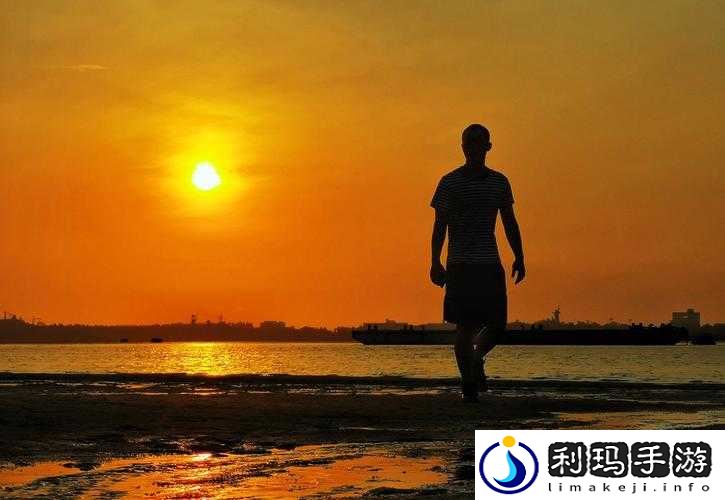 商且联姻 11h 婚后：一段充满挑战与磨合的情感旅程