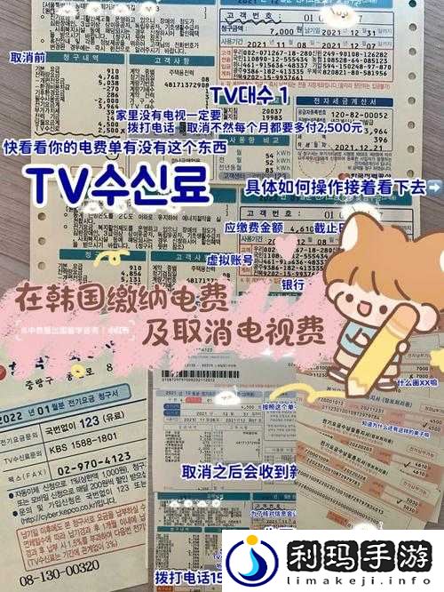 韩国三色电费 202:其收费模式与影响因素
