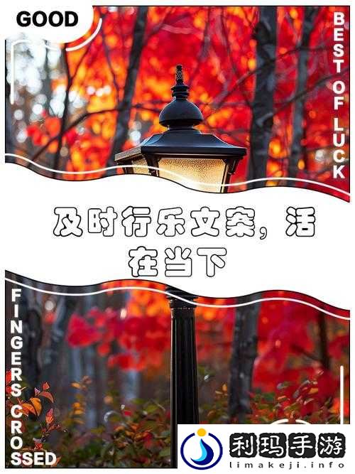 及时行乐 HPO:尽享当下每一刻