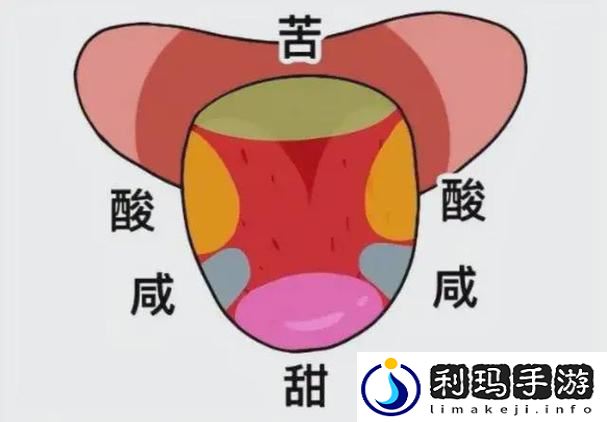 舌头进入小豆豆世界的味觉体验