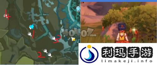 风车菊采集位置分享(原神风车菊哪里采集)
