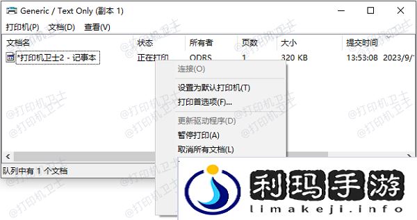通过打印队列查看