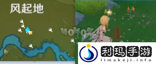 风车菊采集位置分享(原神风车菊哪里采集)