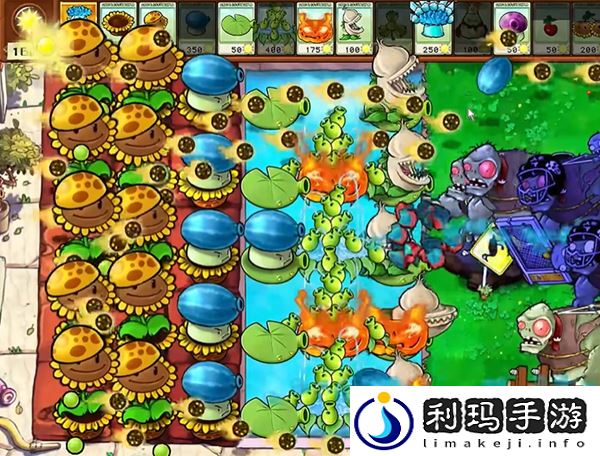 植物大战僵尸杂交版高冰果3怎么过植物大战僵尸杂交版高冰果3过关攻略