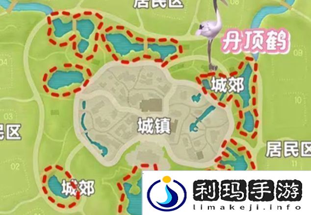 心动小镇新春季第3周4只鸟位置
