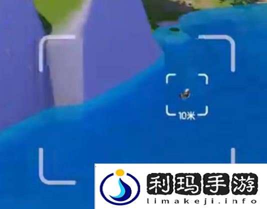 心动小镇新春季第3周4只鸟位置