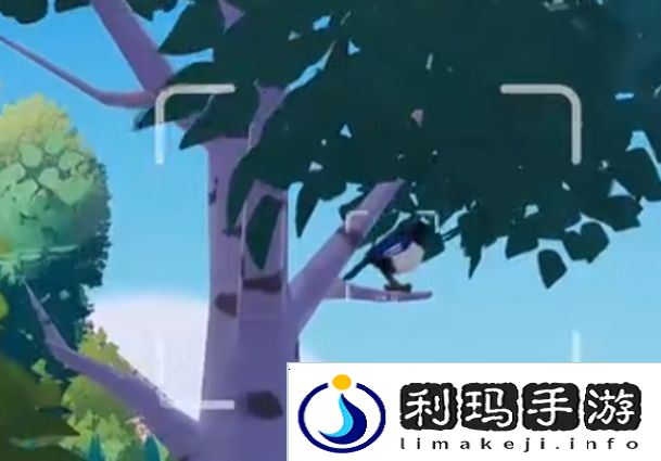 心动小镇新春季第3周4只鸟位置