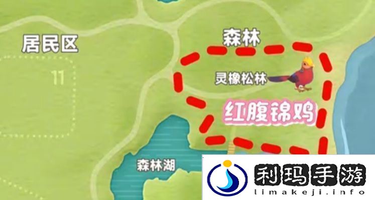 心动小镇新春季第3周4只鸟位置