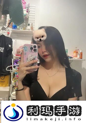 和老婆长途汽车的轮杆：让旅程更顺畅的秘密武器，提升我们的出行体验！
