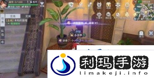 黎明之海伊斯坦堡宝物在哪