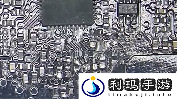 极乐软件园