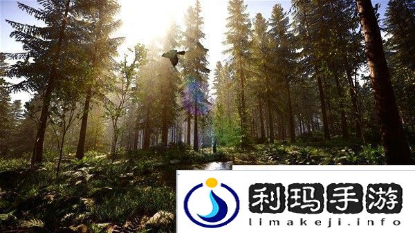 森林之子0正式版控制台代码有哪些