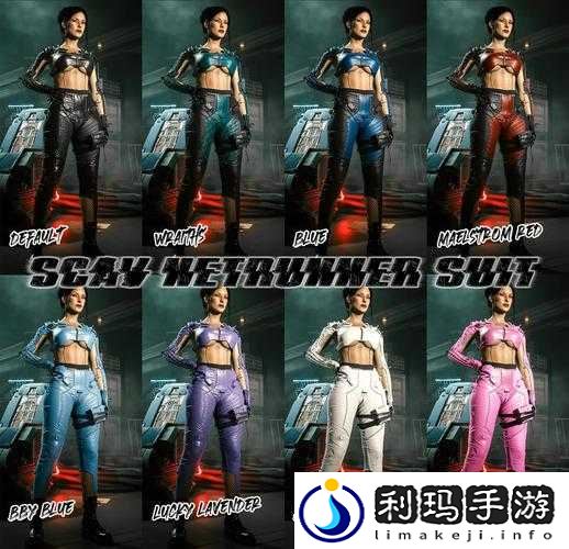 赛博朋克 2077 改装模组使用指南全解析