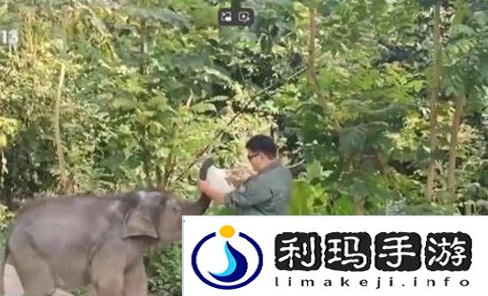极乐软件园