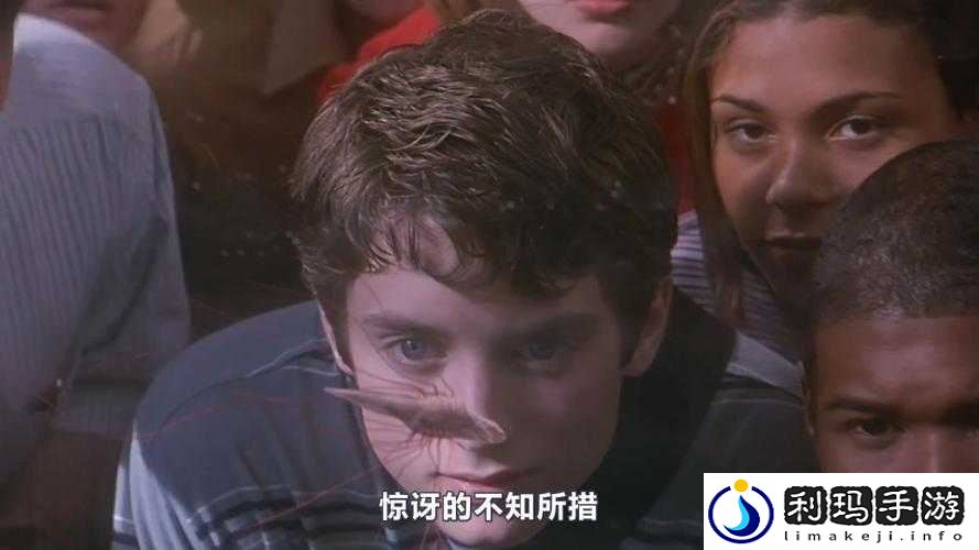 8848 在线观看免费观看电视剧大全二年级:热门剧集精选