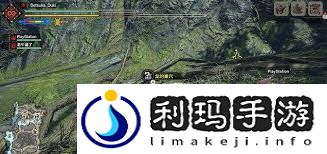 怪物猎人世界飞龙蛋位置在哪