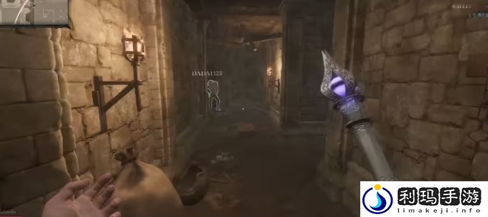 “Dungeonborne”区域限制破解指南