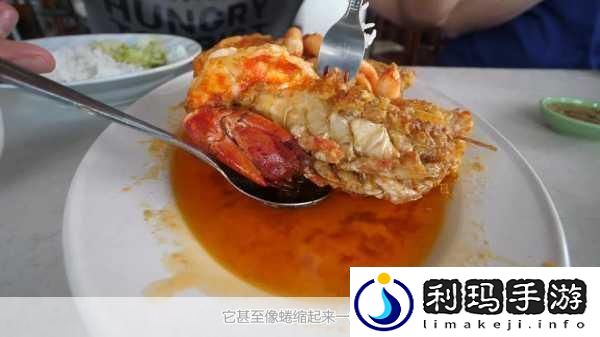 幻塔香脆烤鱼秘籍