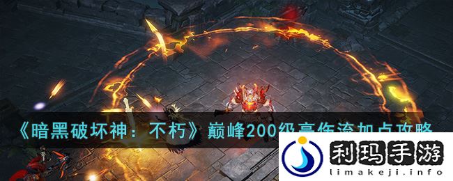 暗黑破坏神：不朽巅峰200级高伤流怎么加点-暗黑破坏神：不朽巅峰200级高伤流加点攻略