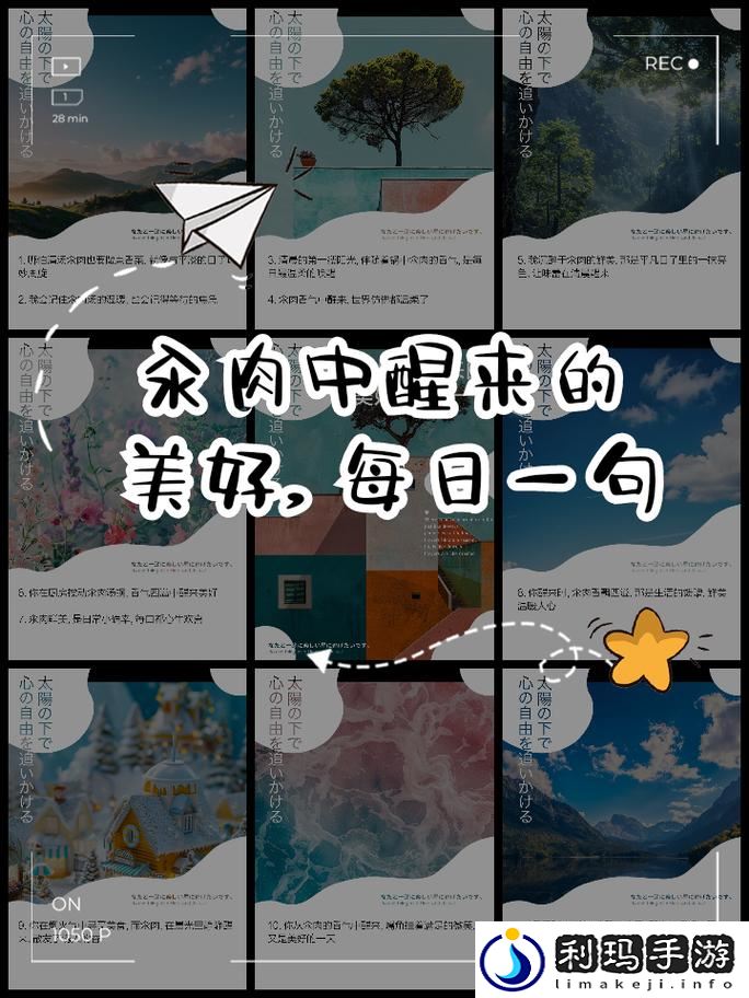 每天在汆肉中醒来