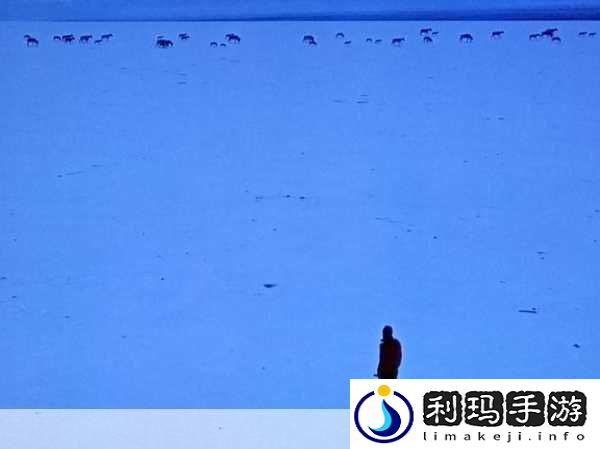 无人区一码二码三码四码