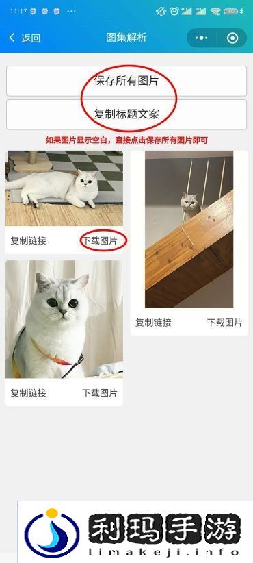 小红书图片怎么去水印