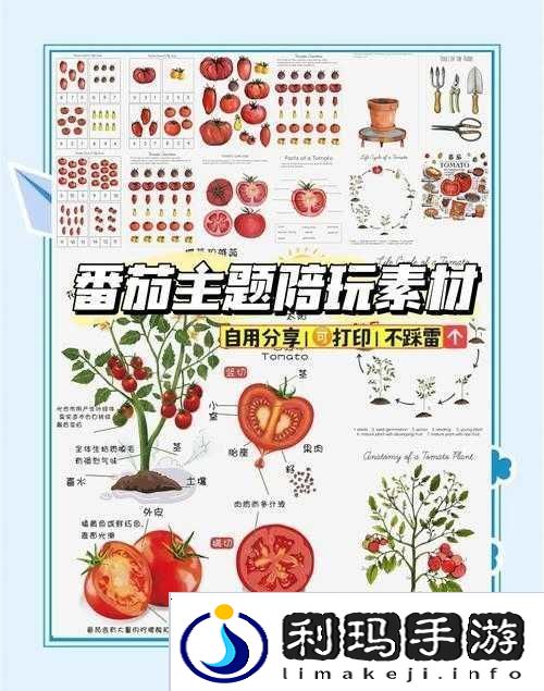 小森生活番茄种子究竟如何获得