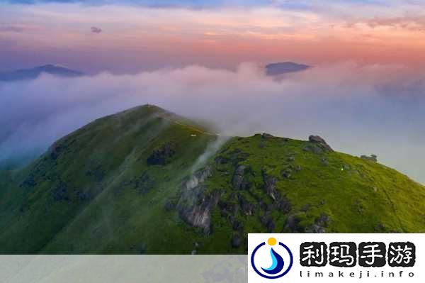 成色好的y31的影视短片