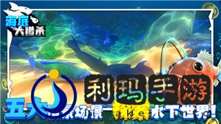 黑暗之魂2如何设置中文字幕显示的样式，提升游戏体验和语言可读性