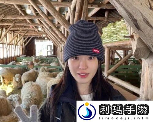 成品人精品人的区别四叶草，网友：从基础到卓越的蜕变！