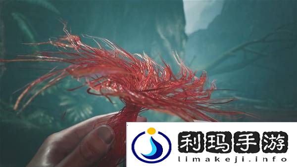 怪物猎人荒野攻略总汇   全章节任务流程攻略图片36