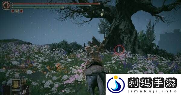 艾尔登法环金黄色编发怎么获得