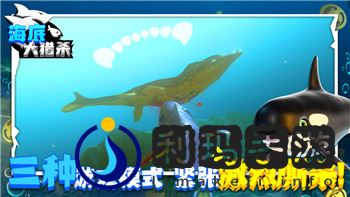鬼谷八荒仙指法的技巧揭秘：如何通过仙指法提升修炼效率与战斗力