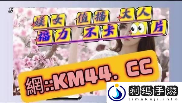 网界新秀