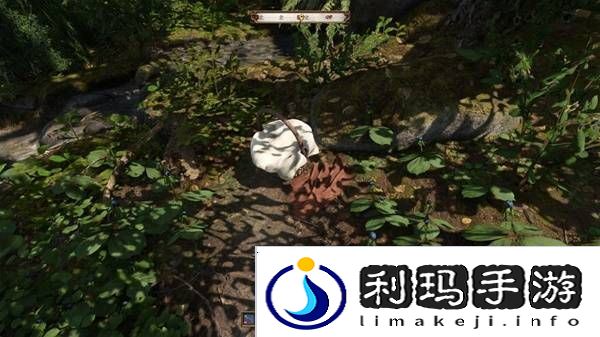 天国拯救2颠茄哪里多  颠茄和四叶重楼草药采集点分享图片2