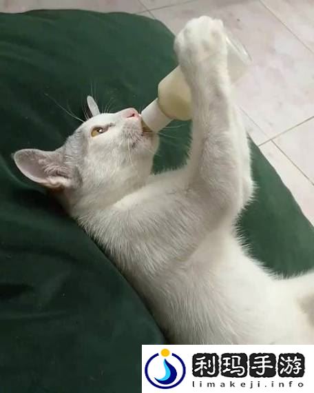 两个奶被吃得又翘又硬